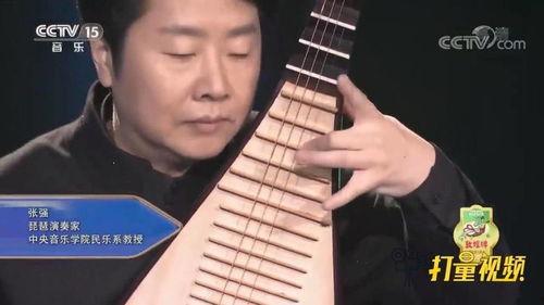 琵琶视频演奏,穿越时空的旋律演绎