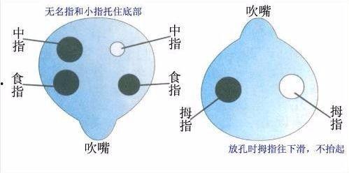 6孔陶笛视频,视频教程深度解析
