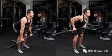 划船练背视频,打造完美背部的健身秘籍